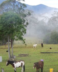 Hillview Farmstay - Hotel Accommodation 1
