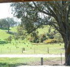 Hosanna Farm Retreat - Hotel Accommodation