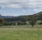 Ingleden Park Bed And Breakfast Farmstay Cottages - Hotel Accommodation