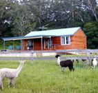 Moorallie Cottage Farm Stay - Hotel Accommodation