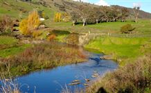 Ralda's Cottage - Hotel Accommodation 0