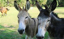 Red Hill Organics Farmstay - Hotel Accommodation 5