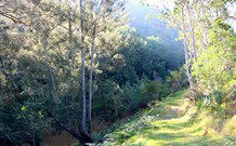 Snowy Vineyard Cottage - Hotel Accommodation 7