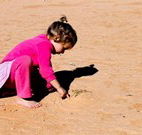 Stony Creek Farm B and B - Hotel Accommodation