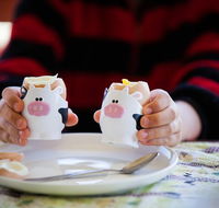 Cosy Cow Farmstay Bed and Breakfast - Hotel Accommodation