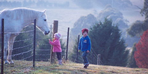 Duckmaloi Farm - Hotel Accommodation 1