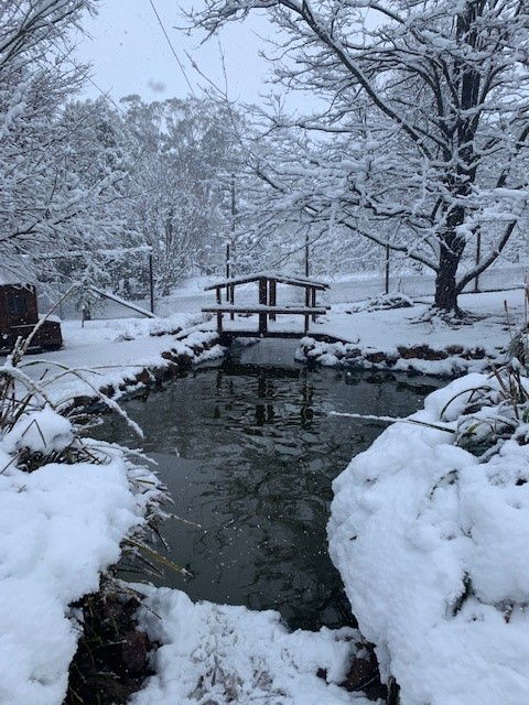 Duckmaloi Farm - Hotel Accommodation 3