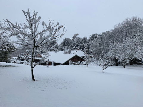 Duckmaloi Farm - Hotel Accommodation 2