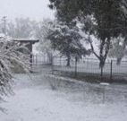 Tirrintippin - Hotel Accommodation