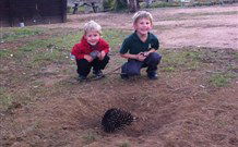 Venterfair Rural Retreat - Hotel Accommodation 4