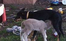 Venterfair Rural Retreat - Hotel Accommodation 8