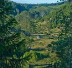 Yarralong BnB and Farm Stay - Hotel Accommodation