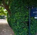 Bangalow Guesthouse - Hotel Accommodation