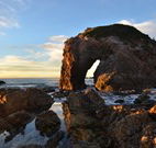 Bellbird Cottage Bed and Breakfast - Hotel Accommodation