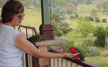 Bryn Glas Bed And Breakfast - Hotel Accommodation 1