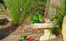 Bushview Cottage - Hotel Accommodation 5