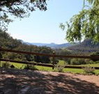 Cedar Grove - - Hotel Accommodation