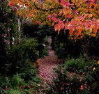 Gulgong B and B - Hotel Accommodation