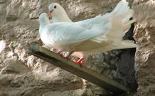 Kerrowgair Bed And Breakfast - Hotel Accommodation 1