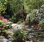 Kubba Roonga Guesthouse - Hotel Accommodation