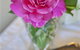 Newcastle's Bed & Breakfast - thumb 3