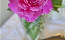 Newcastle's Bed & Breakfast - Hotel Accommodation 3