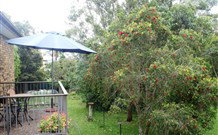 Peaceful Palms Bed And Breakfast - - Hotel Accommodation 6