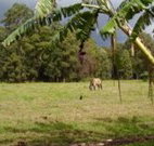 The Watertank Bed and Breakfast - Hotel Accommodation
