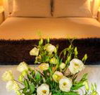 Winton Luxury Bed and Breakfast - Hotel Accommodation
