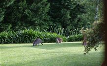 Yallambee Bed And Breakfast - Hotel Accommodation 4