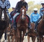 Jemby Rinjah Eco Lodge - Hotel Accommodation