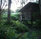 Mount Seaview Resort - Hotel Accommodation