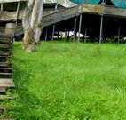 Snowy Valley Resort - Hotel Accommodation