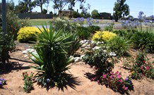 Aaroona Holiday Resort - Hotel Accommodation 2