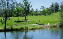 Melville NSW Hotel Accommodation