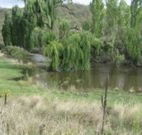 Cedar Grove - Hotel Accommodation