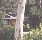 Chifley Dam Cabins - Hotel Accommodation