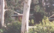 Chifley Dam Cabins - Hotel Accommodation 0