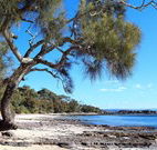 David Jones Cottage - Hotel Accommodation