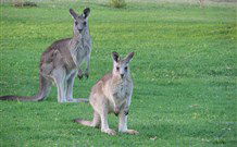 Leslie Cottage - Hotel Accommodation 6