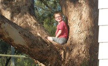 Leslie Cottage - Hotel Accommodation 7