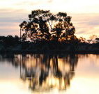 Myuna Bay Sport and Recreation Centre - Hotel Accommodation