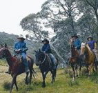 Possums Hideaway - Hotel Accommodation