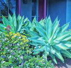 Retreat Homestead - Hotel Accommodation