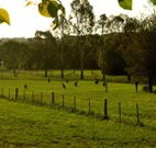 Stone Cottage Mittagong - Hotel Accommodation