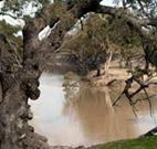 Valley View Cottage Hunter Valley - Hotel Accommodation