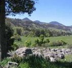 Woolshed Hill Estate - Hotel Accommodation