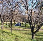 Worrowing Boat Shed - Hotel Accommodation