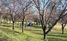 Worrowing Boat Shed - Hotel Accommodation 0