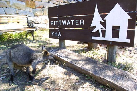 Sydney - Pittwater YHA - Hotel Accommodation 9